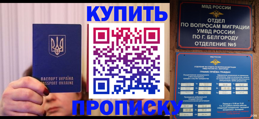 прописка для кредита в Новороссийске